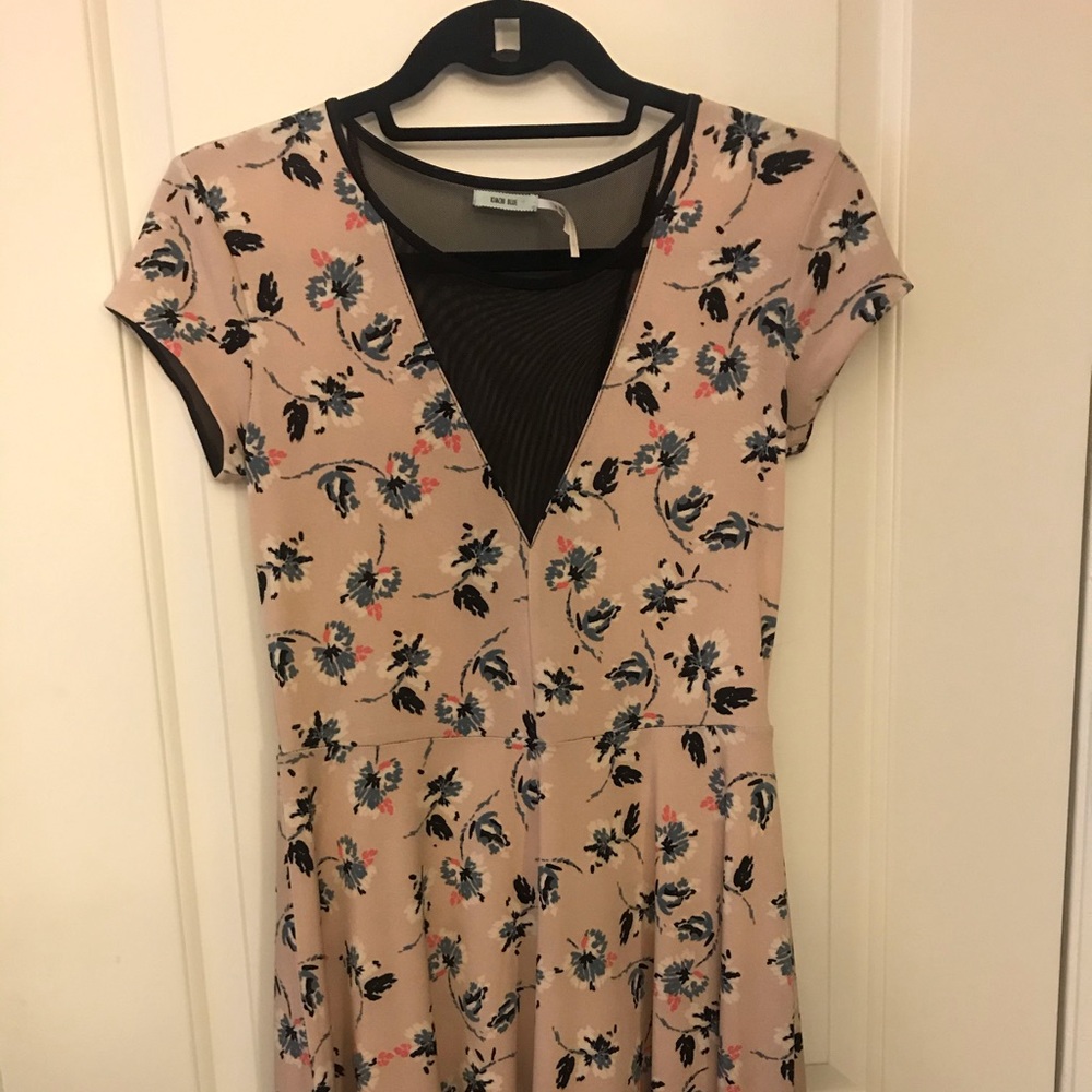 Kimchi Blue Floral and Mesh skater dress